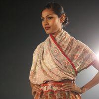 Payal Jain's creation at a fashion show at Hyatt Regency | Picture 131048